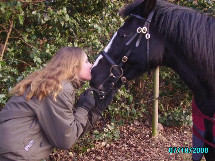 Anden særlig race Black Beauty (SOLGT) - kyss <3 billede 20