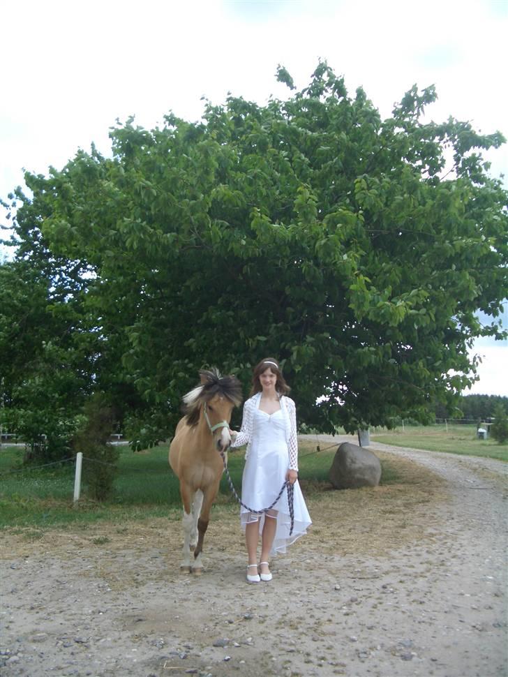 Anden særlig race Charming - Charming og mig efter min konfirmation <3 hehe, spørg om han gad stå stille:D hehe billede 10