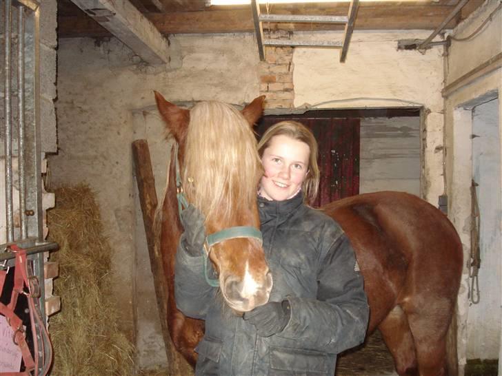 Welsh Cob (sec D) Valhallas Zamba - Mig og Zamba efter jeg har siddet på hende første gang:)             Foto: Karoline T. Hansen billede 13