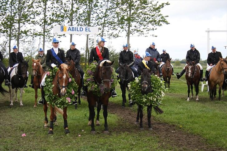 Anden særlig race Stella Af Toftlundgaard<3 - Ringeridning i Abild 2010 billede 16