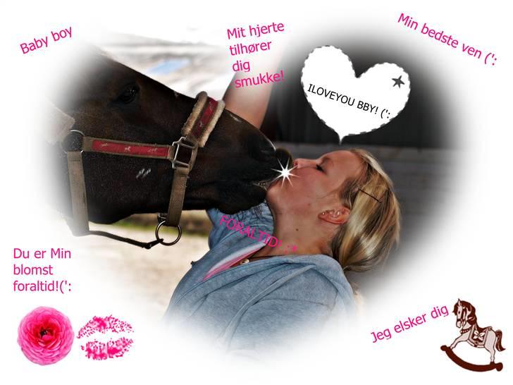 Hollandsk Sportspony Chico :* <3 - jeg elsker dig overdrevet meget skat!, du betyder fucking meget for mig min elsked pony! FORALTID! billede 13