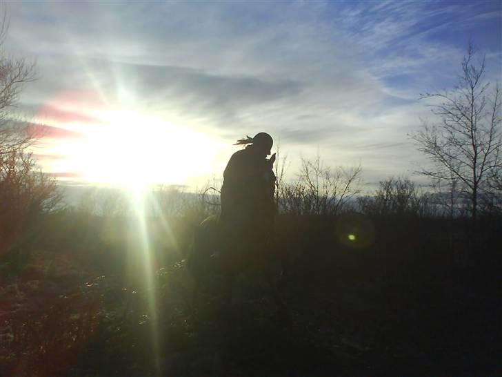 Hollandsk Sportspony Chico :* <3 billede 18