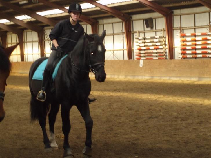 Oldenborg Granat Anholm  (SOLGT) - Klap klap, og ros ros til dig Granat. billede 7