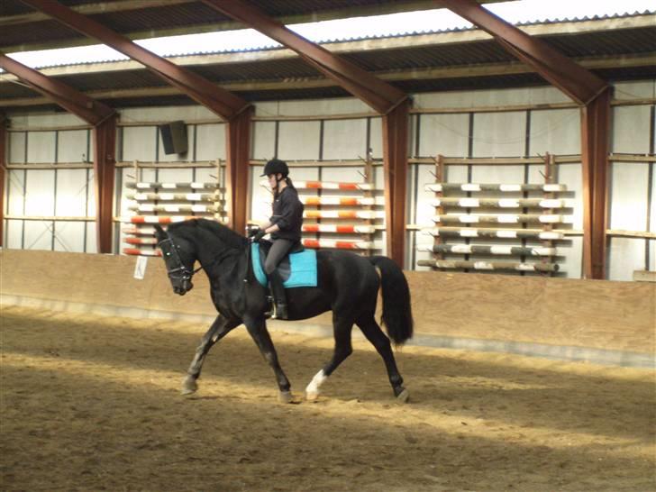 Oldenborg Granat Anholm  (SOLGT) - Let træning, lige den dag .. billede 8