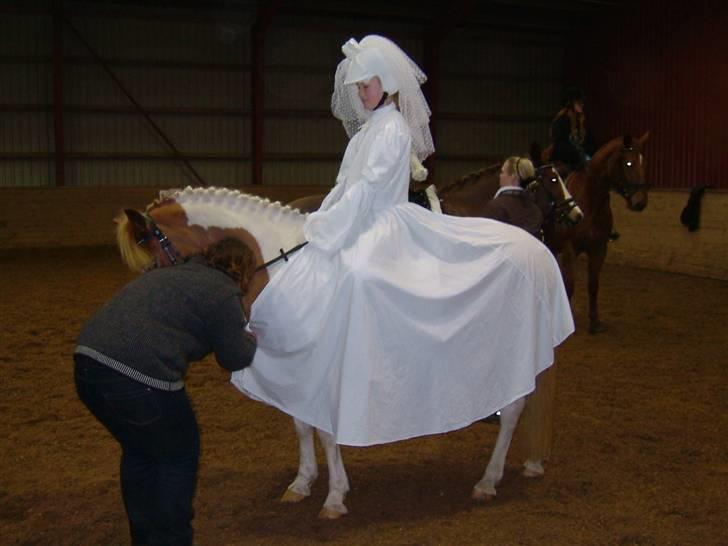 Anden særlig race Pil - Ser det ikke sjovt ud ha ha :D billede 8