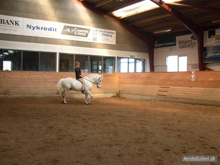 Anden særlig race Filur*Gl.Part*:'/(himmelhest) - Velkommen til min Profil =D! ( foto kæresten) billede 1