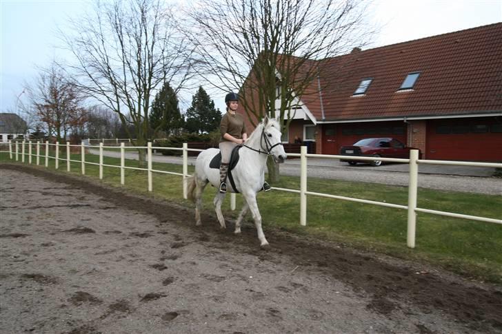 Anden særlig race Filur*Gl.Part*:'/(himmelhest) - Altid min dejlige filur<3 billede 2