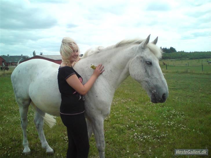 Anden særlig race Filur*Gl.Part*:'/(himmelhest) - wee sommergræs :D ! Optur med filur<´3 billede 3