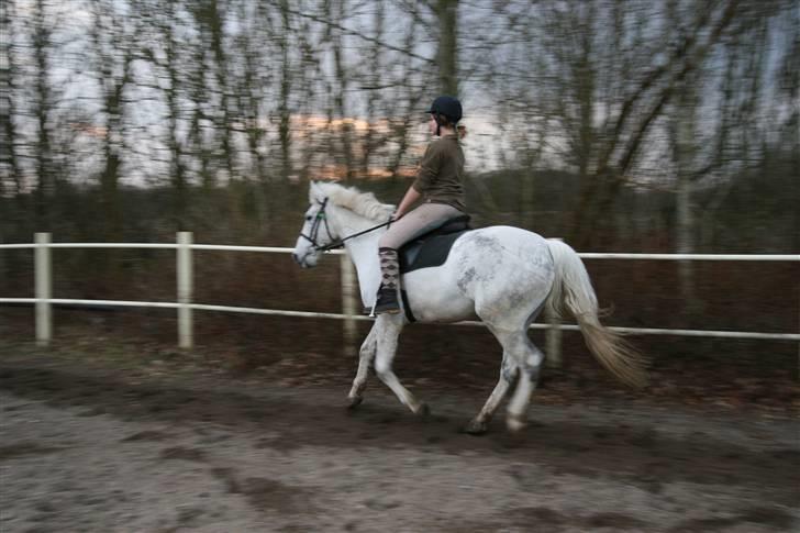 Anden særlig race Filur*Gl.Part*:'/(himmelhest) - En skønne´h galop =D<3 billede 4