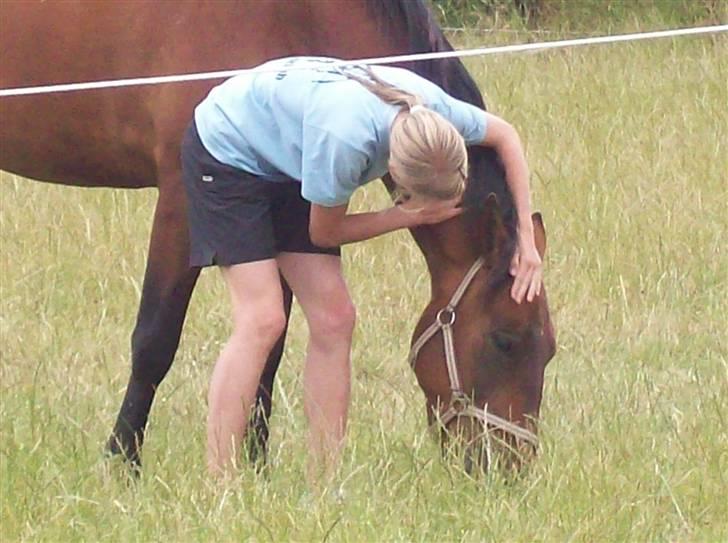 Knabstrupper Bianca - 2# Et billed siger mere end tusind ord! <3 Foto: Mor 2009 billede 2