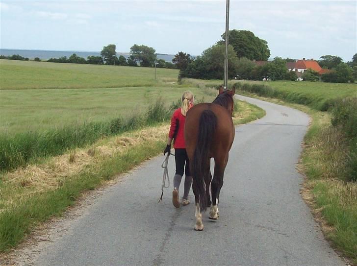 Knabstrupper Bianca - 5# Gå ikke foran mig, måske kan jeg ikke følge med. Gå ikke bag mig, måske kan jeg ikke føre an. Gå ved siden af mig og vær min ven! :-) Foto: Pauline 2009. billede 5