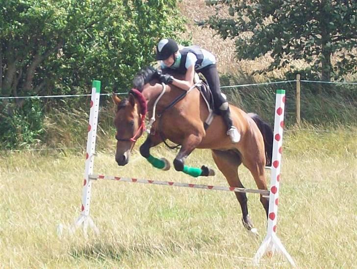 Knabstrupper Bianca - 9# Bidøs springning :-) Undskyld kvaliteten, men kamaret er dårligt og HG forringer kvaliteten. Foto: Mor 26/7 2009. billede 9