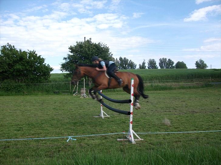 Knabstrupper Bianca - 10# Springene igen efter ikke og ha´ villet i et halvt år.. :D - Cirka 120 cm. (:  Undskyld kvaliteten, men kamaret er dårligt og HG forringer kvaliteten. Foto: Far 21/6 2010. billede 10