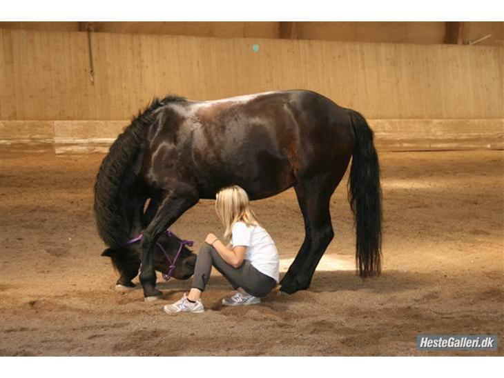 {{currentPhoto.altText}} billede {{currentPhoto.number}}