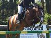 Hollandsk Sportspony  ANNIE | SOLGT :'( [Tidl. hest]
