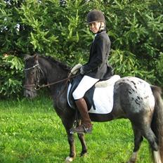 Anden særlig race Pinocchio *red*