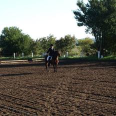 Dartmoor Guldklump<33   /Solgt/