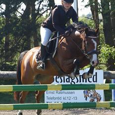 Hollandsk Sportspony  ANNIE | SOLGT :'(