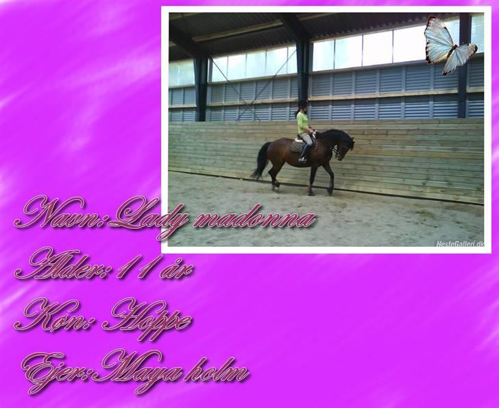 Anden særlig race Lady Madonna<3! billede 6