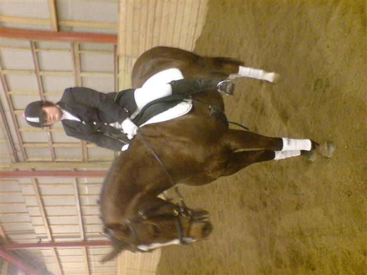 Anden særlig race Nynne (halvpart)  TIDER:/ billede 5