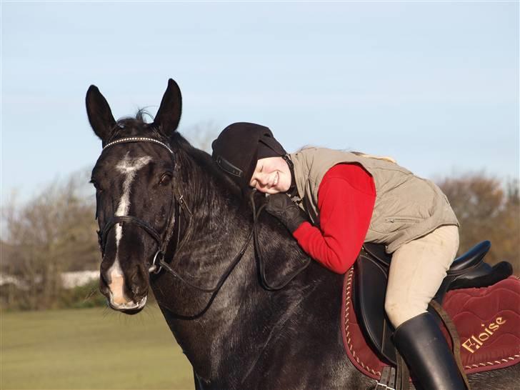 Oldenborg Eloise (solgt) billede 14