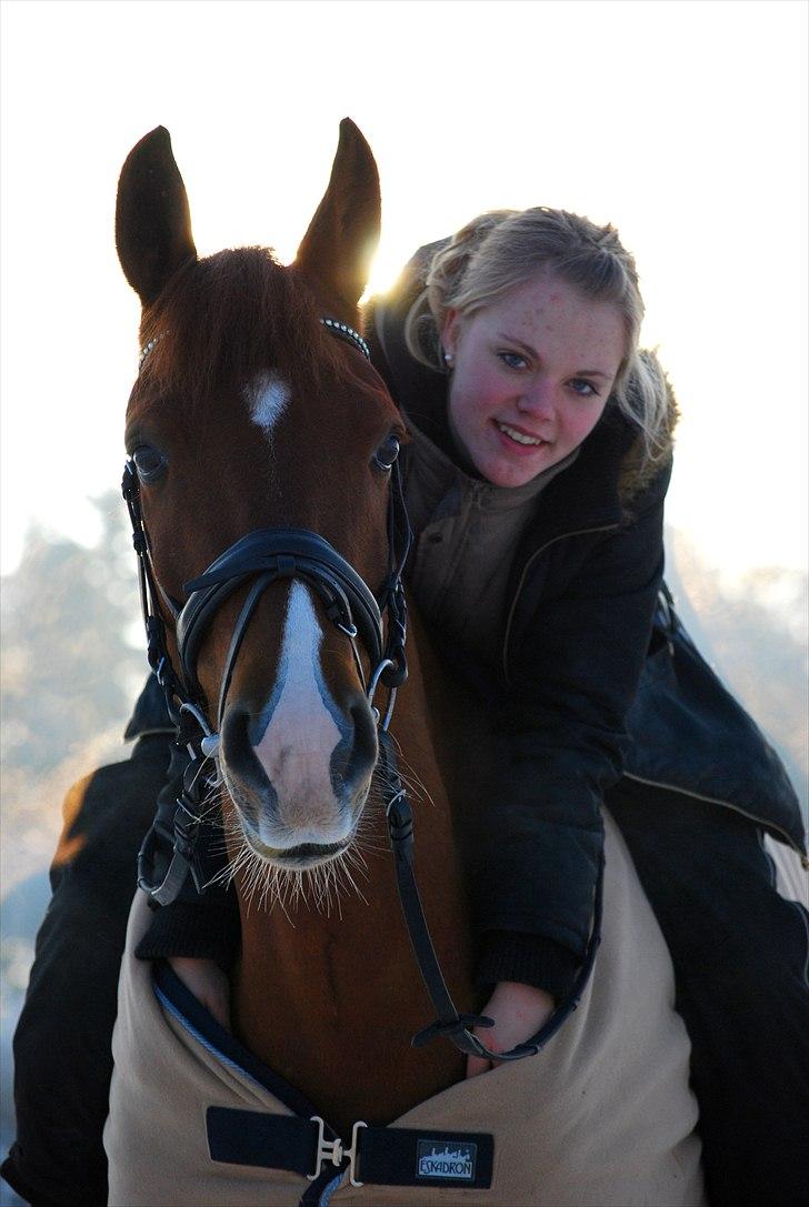 Frederiksborg Rigel af Vestergård - #7 Jeg kan slet ikke beskrive hvor glad jeg er for dig Chili. Du betyder virkelig alt for mig. Du er simpelhent den bedste hest man kan ønske sig, og mere til!  //FOTO: Stine T.  billede 7