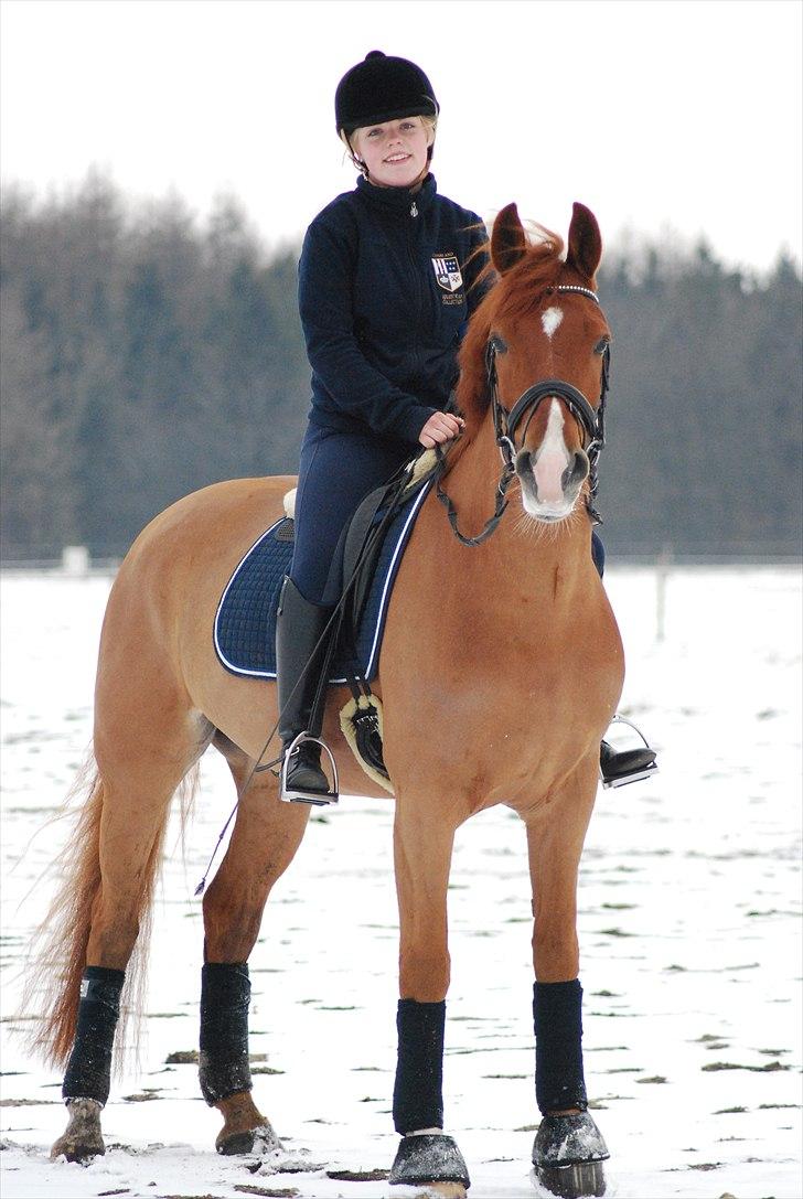 Frederiksborg Rigel af Vestergård - #14 Du er det mest betydningsfulde jeg har i mit liv. Det bedste jeg har <3 Jeg elsker dig min stjerne. //FOTO: Anita Rasmussen. billede 14