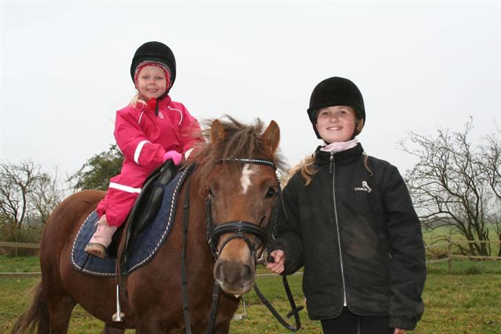 New Forest Chappy - Solgt&Savnet! <3 - 2) Chappy, mig, og lillesøs.. billede 2