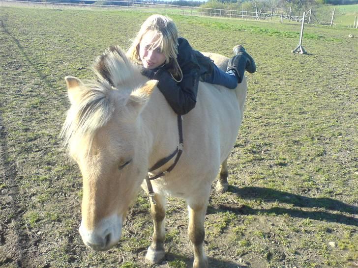 Fjordhest Runa Godthåb *solgt* - Runa og Catrine, min veninde som tit red Runa, og var ret glad for hende :) billede 6