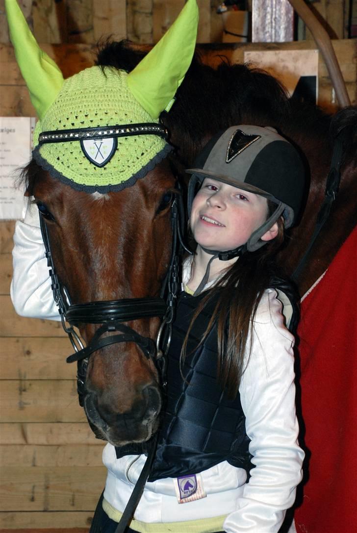 Dansk Varmblod Kaiser <33 (Solgt ;'/) - Velkommen til kaisers profil - Lige da jeg havde fået ham (Fotograf: Juanna) billede 1