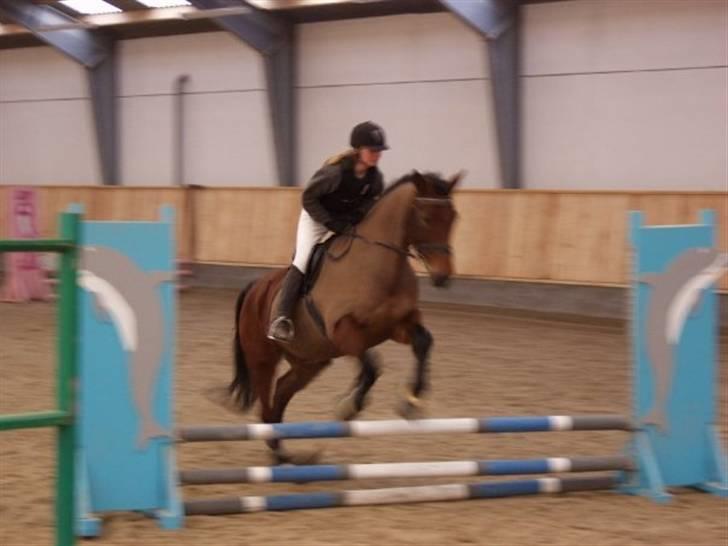 Oldenborg Mon Cherie - GLK 4 januar 2009 billede 8