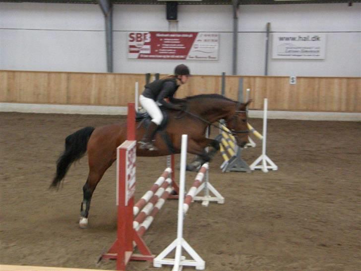 Oldenborg Mon Cherie - GLK ministævne oktober 09 billede 9