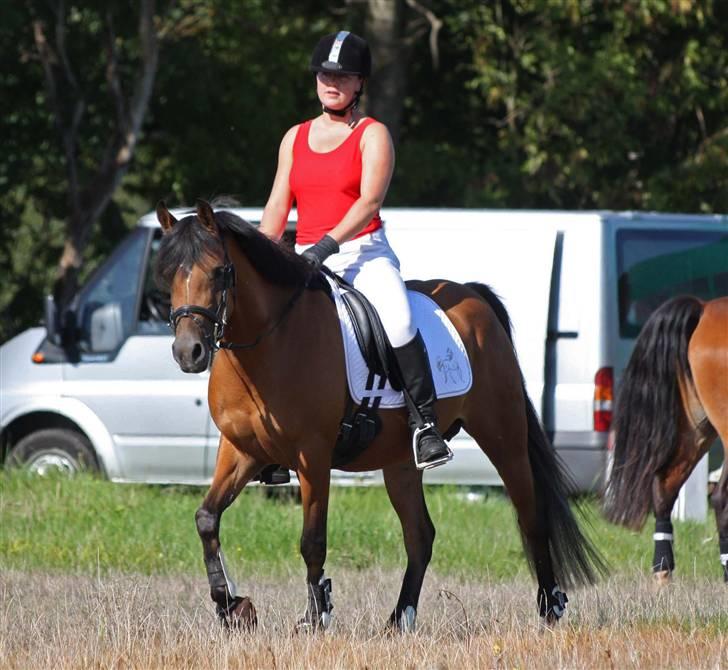 DSP troja  - jagt 2008 billede 5