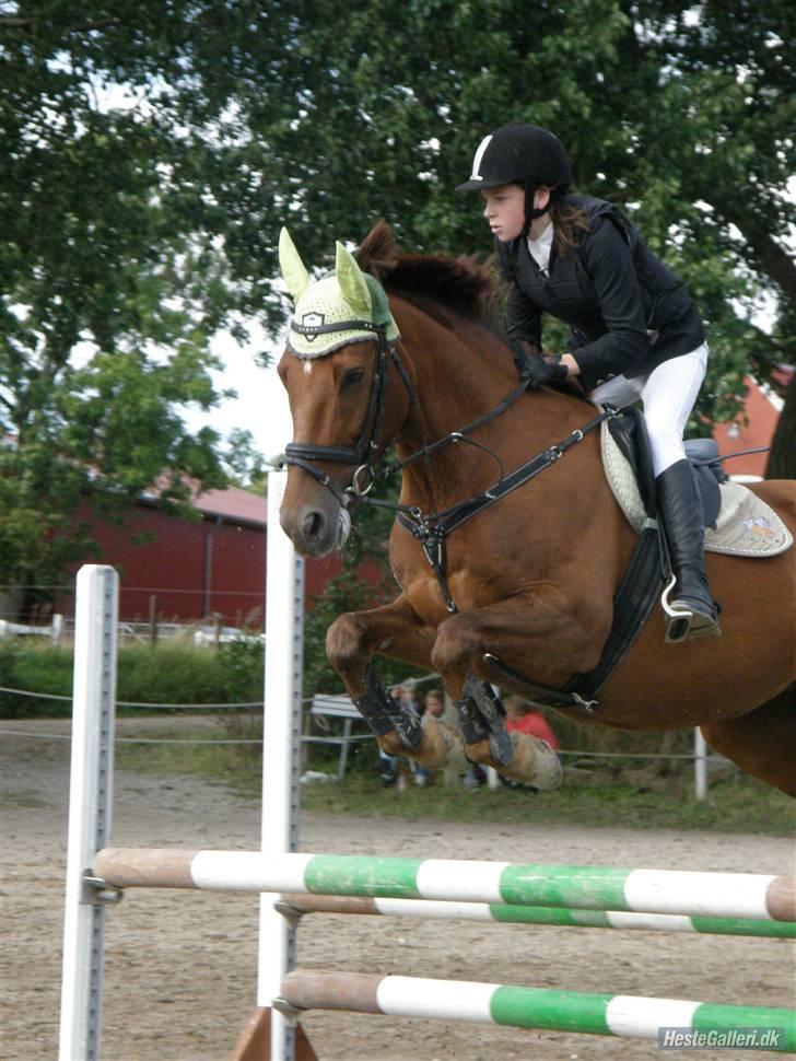 Dansk Varmblod Kaiser <33 (Solgt ;'/) - Springstævne d. 16/08-09. Vi red LC og vi vandt ;D Fotograf: Maria Mærsk billede 16