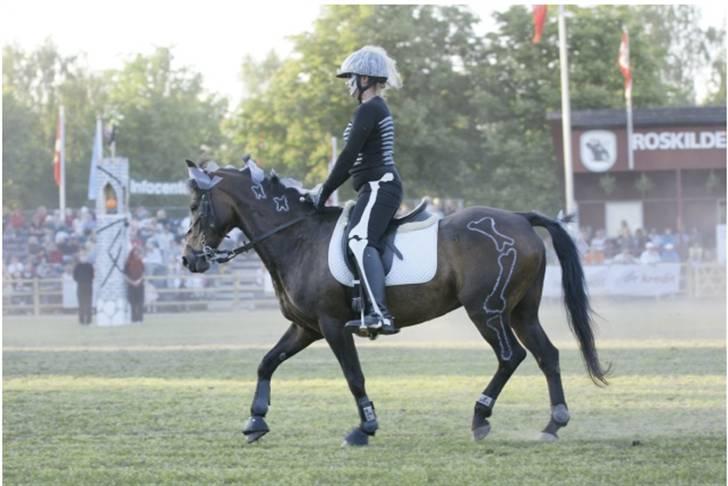 DSP Tiger R.I.P. - Min søster og Tiger i det store hesteshow på Roskilde Dyrskue 2008 billede 12