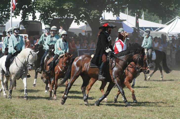 DSP Tiger R.I.P. - Tiger og jeg som Barbossa i pirates of the carribean showet, Roskilde Dyrskue 2007 billede 13