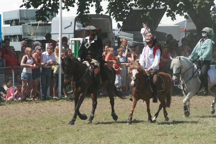 DSP Tiger R.I.P. - Tiger og jeg som Barbossa i pirates of the carribean showet, Roskilde Dyrskue 2007 billede 14