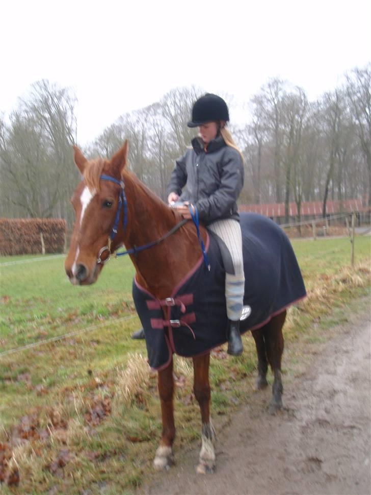 Sportsaraber (A) Loucky - Loucky Med Aya På Ryggen ^^ billede 16