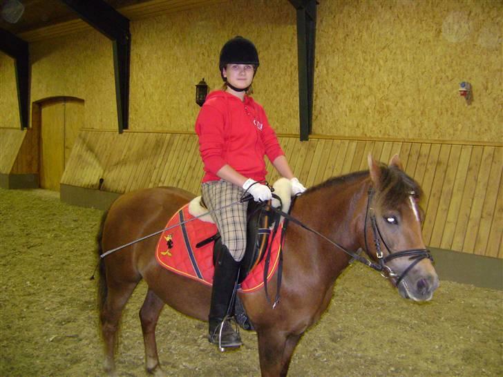 New Forest Chappy - Solgt&Savnet! <3 - 5) Se lige os to.. ´´Smil´´ billede 5