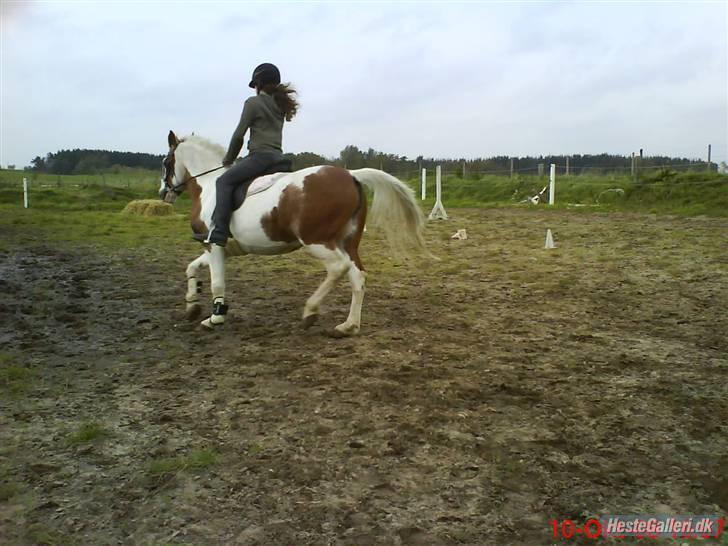 Pinto Sasja - Sasja og jeg Wee billede 2