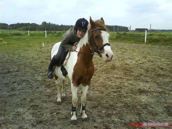 Pinto Sasja - Hg´s bedste hyggetrolde (Mig og sasja) billede 3