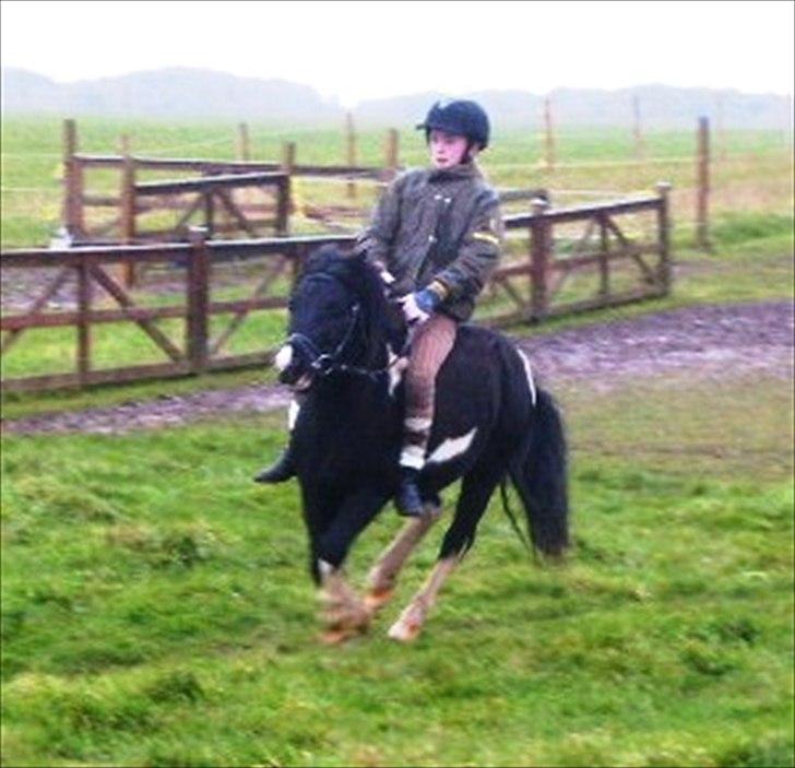 Anden særlig race Lukas billede 4