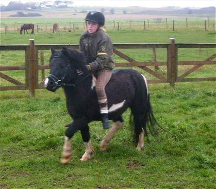 Anden særlig race Lukas billede 7