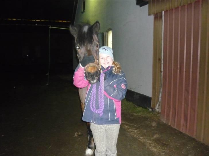 Tysk Sportspony Lillelunds Mister lover - i <3 you           you+me 4-fucking ever billede 3