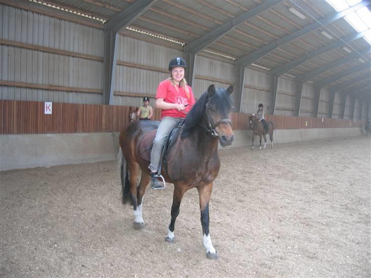 Tysk Sportspony Lillelunds Mister lover - mister og mig på ridelejr 2009 billede 6