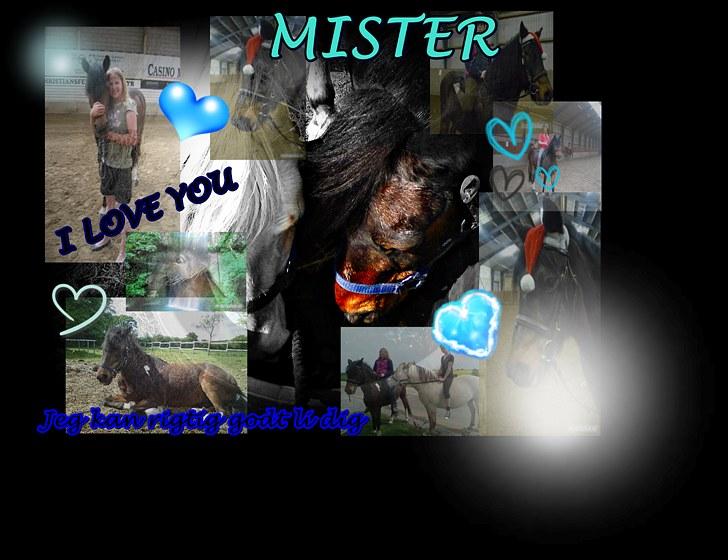 Tysk Sportspony Lillelunds Mister lover - -Lavet af ALBERTE´FOGH! smuukt! billede 16