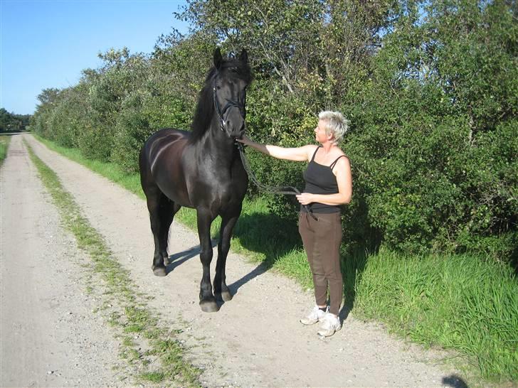 Frieser Lynndi Lina Lisette <3 - på heden - såå bliver der taget billeder igen :P billede 2