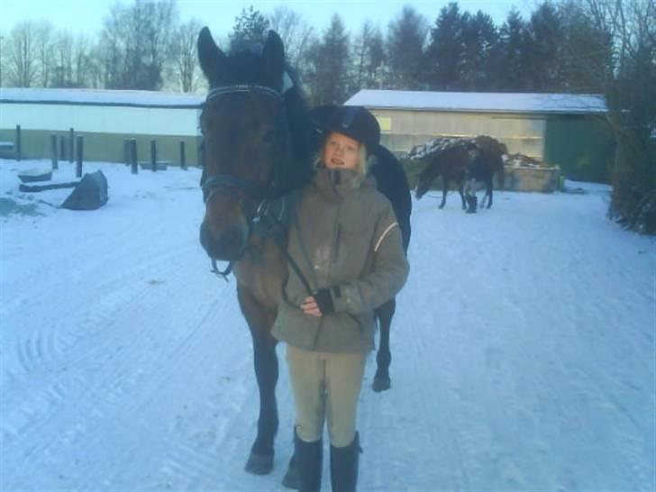 New Forest Roløkke Sorbet billede 6