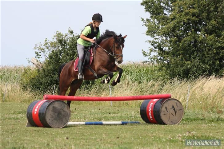 New Forest Fanny - Ridelejr:) Foto:Maiken Bonde :D billede 18