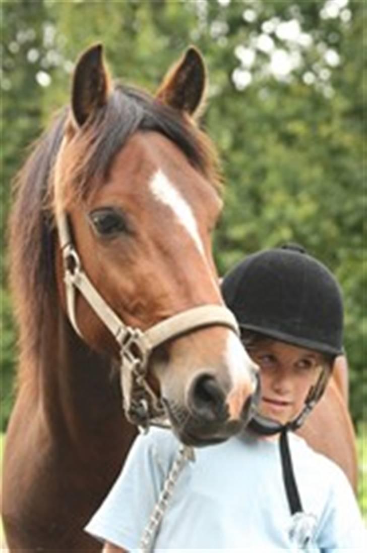 New Forest Fanny - Foto : Helle Nymann :) billede 19